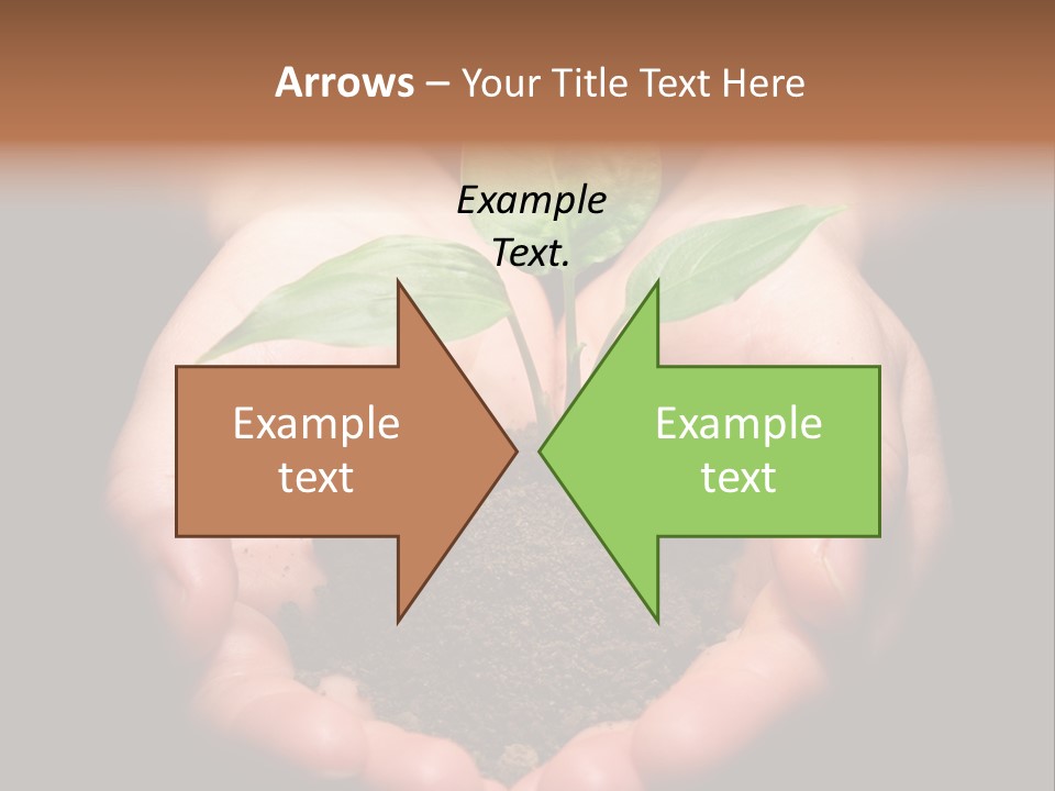 Hands Holding Sapling In Soil PowerPoint Template