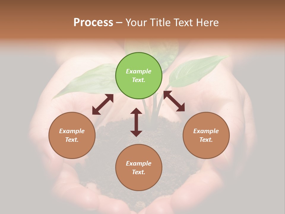 Hands Holding Sapling In Soil PowerPoint Template