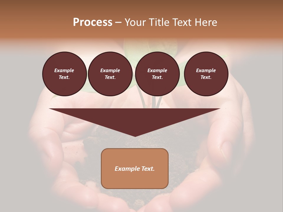 Hands Holding Sapling In Soil PowerPoint Template