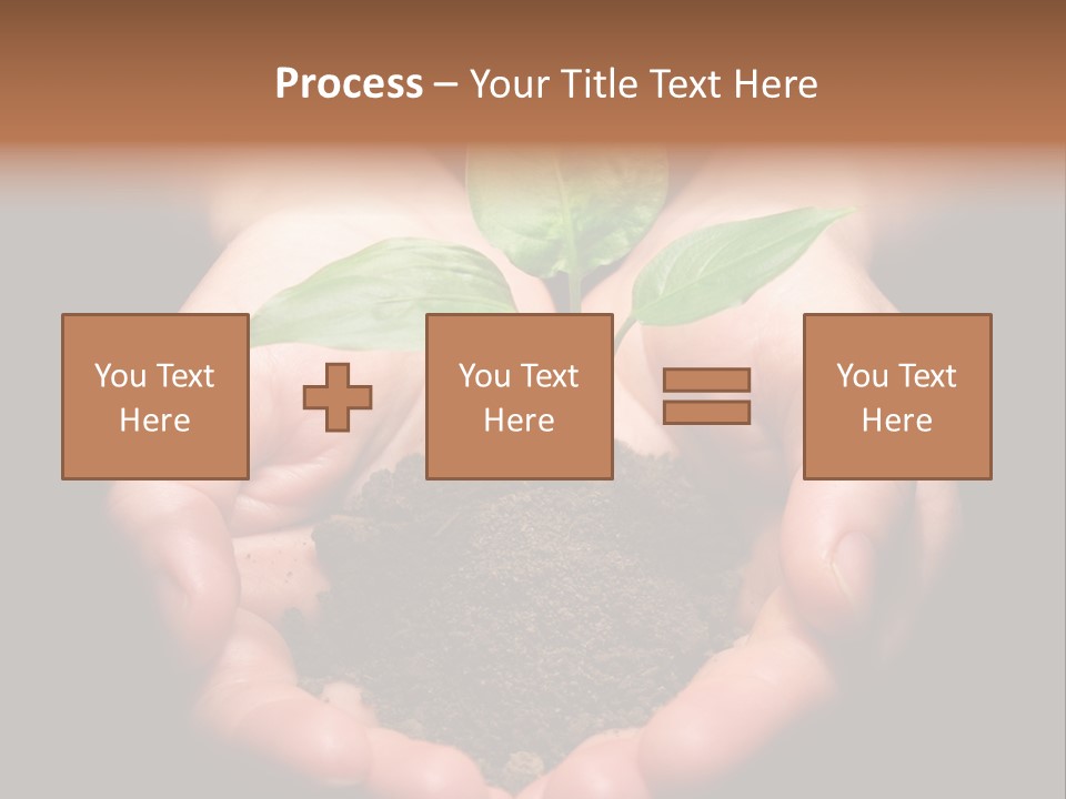 Hands Holding Sapling In Soil PowerPoint Template