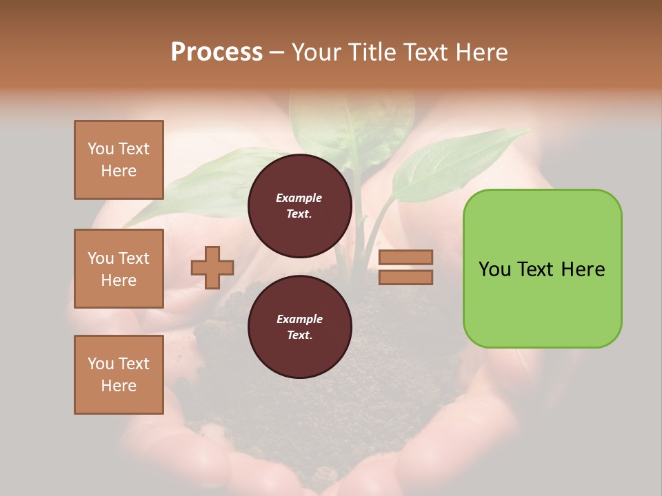 Hands Holding Sapling In Soil PowerPoint Template