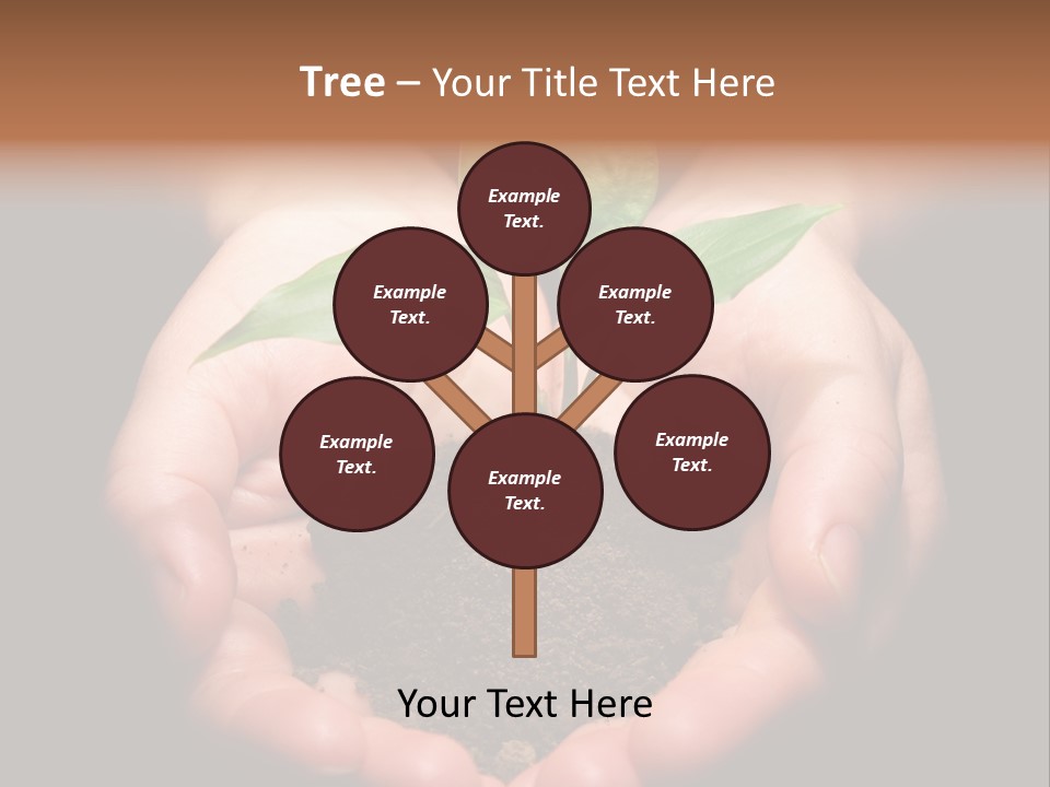 Hands Holding Sapling In Soil PowerPoint Template