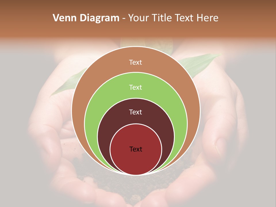 Hands Holding Sapling In Soil PowerPoint Template