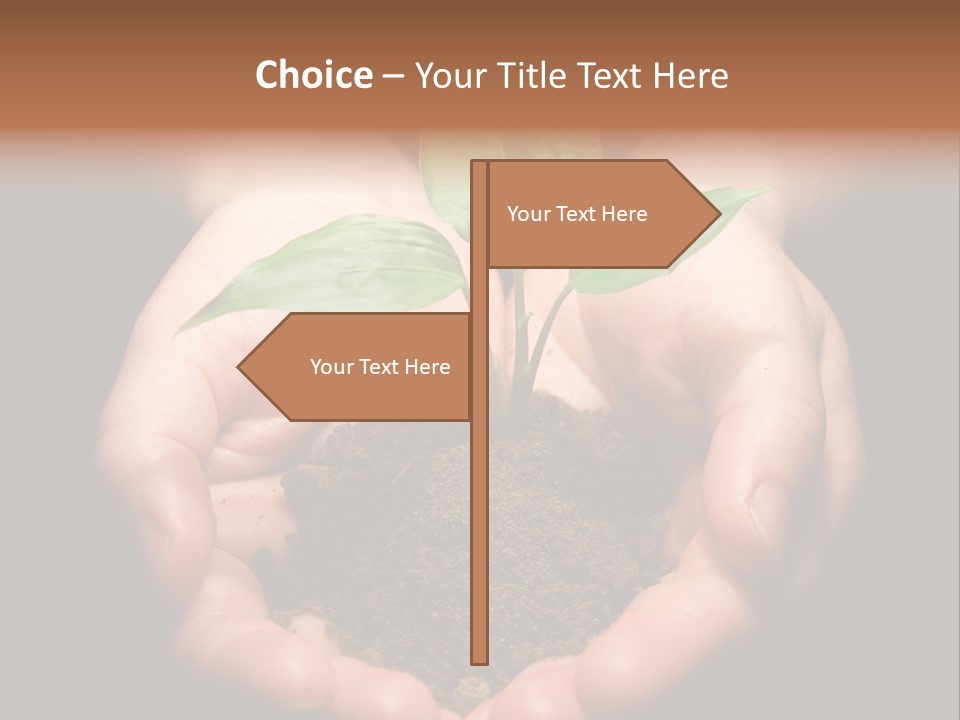 Hands Holding Sapling In Soil PowerPoint Template