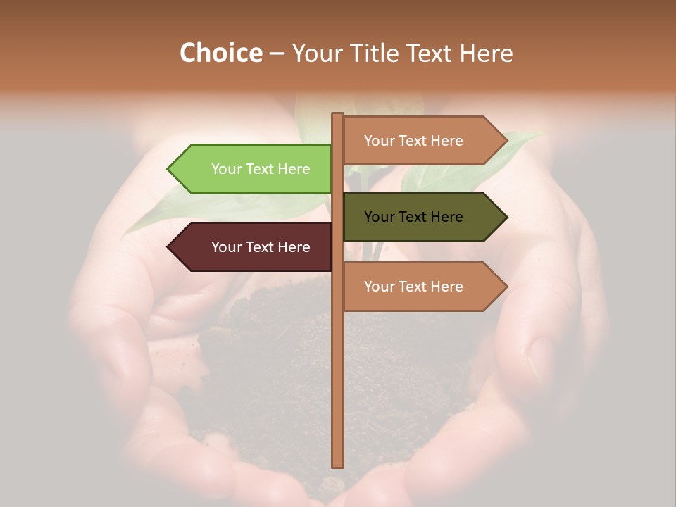Hands Holding Sapling In Soil PowerPoint Template
