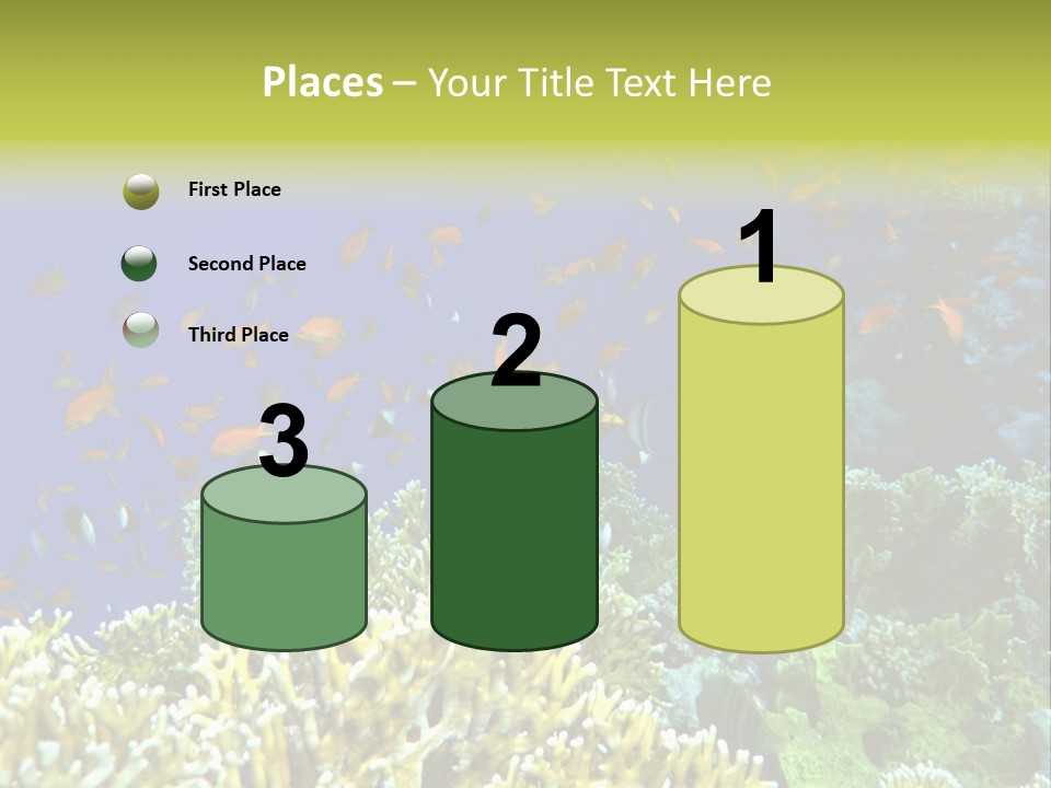 Underwater Landscape With Surgeon-Fish. Red Sea PowerPoint Template