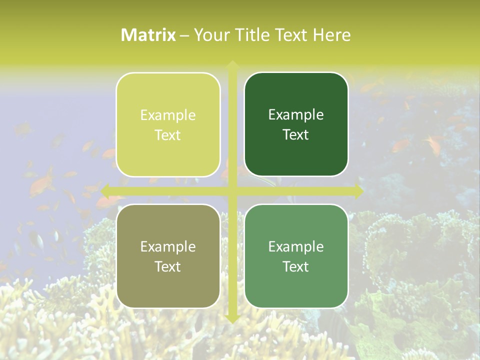 Underwater Landscape With Surgeon-Fish. Red Sea PowerPoint Template