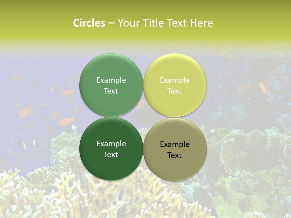 Underwater Landscape With Surgeon-Fish. Red Sea PowerPoint Template