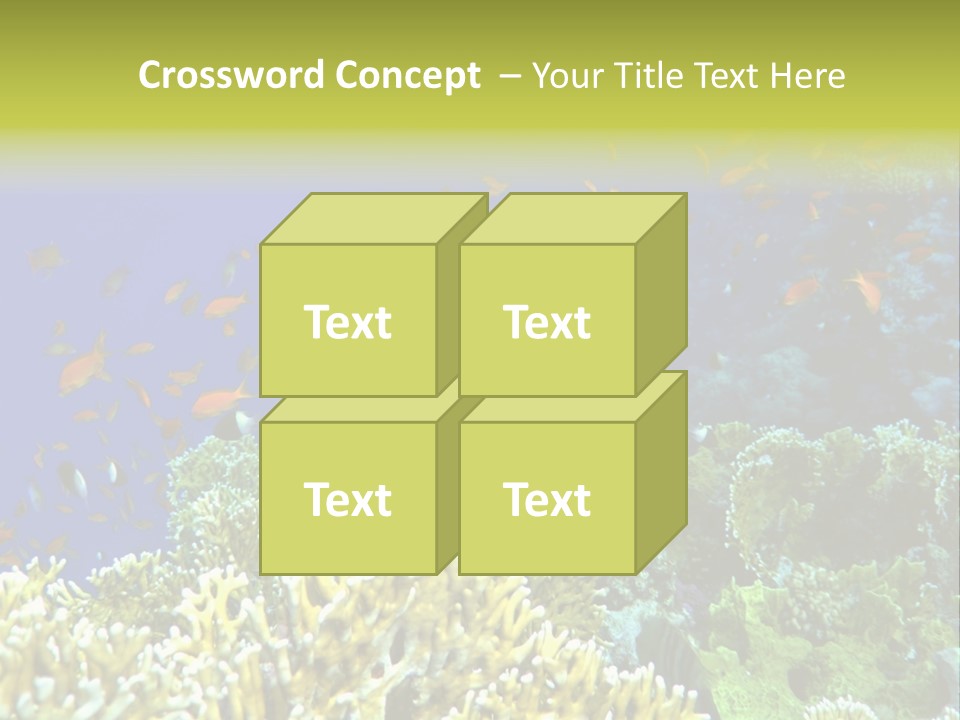 Underwater Landscape With Surgeon-Fish. Red Sea PowerPoint Template