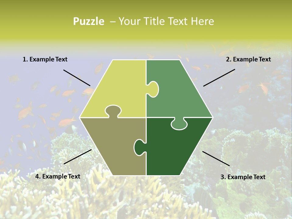 Underwater Landscape With Surgeon-Fish. Red Sea PowerPoint Template