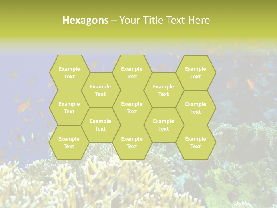 Underwater Landscape With Surgeon-Fish. Red Sea PowerPoint Template