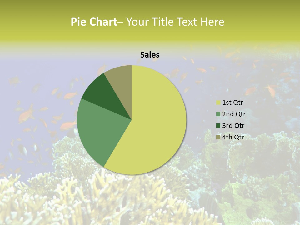 Underwater Landscape With Surgeon-Fish. Red Sea PowerPoint Template