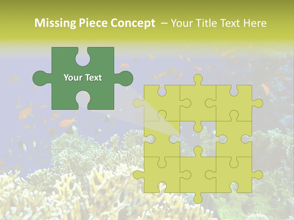 Underwater Landscape With Surgeon-Fish. Red Sea PowerPoint Template