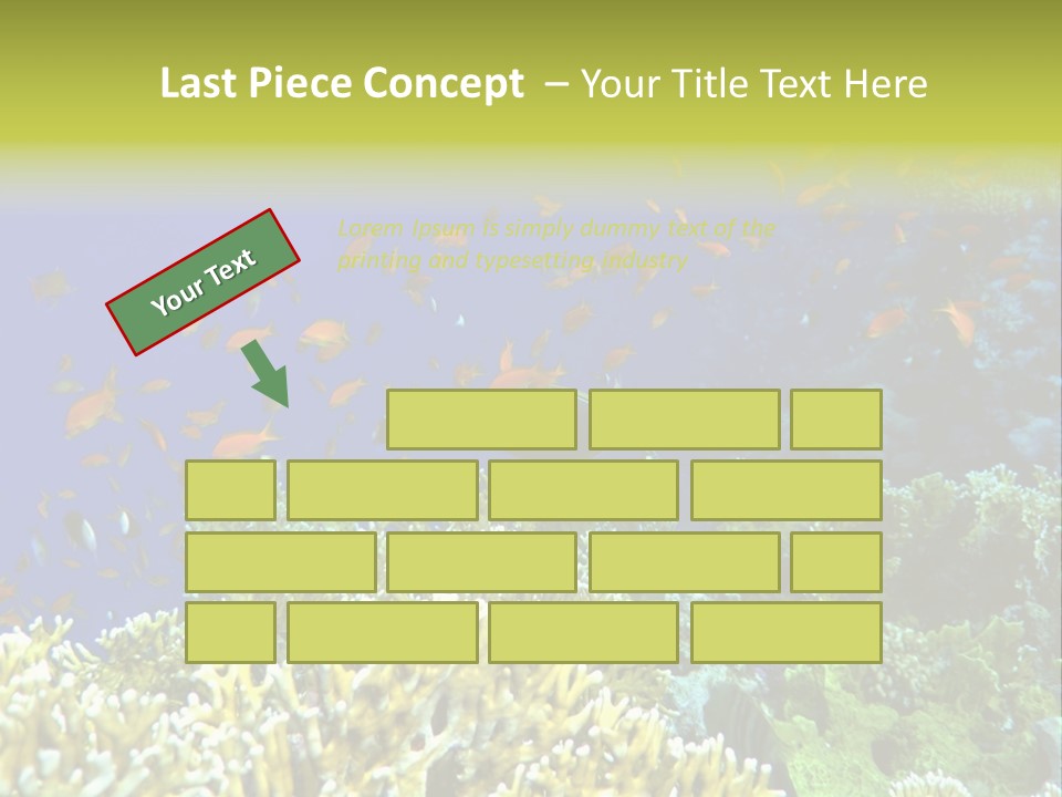 Underwater Landscape With Surgeon-Fish. Red Sea PowerPoint Template