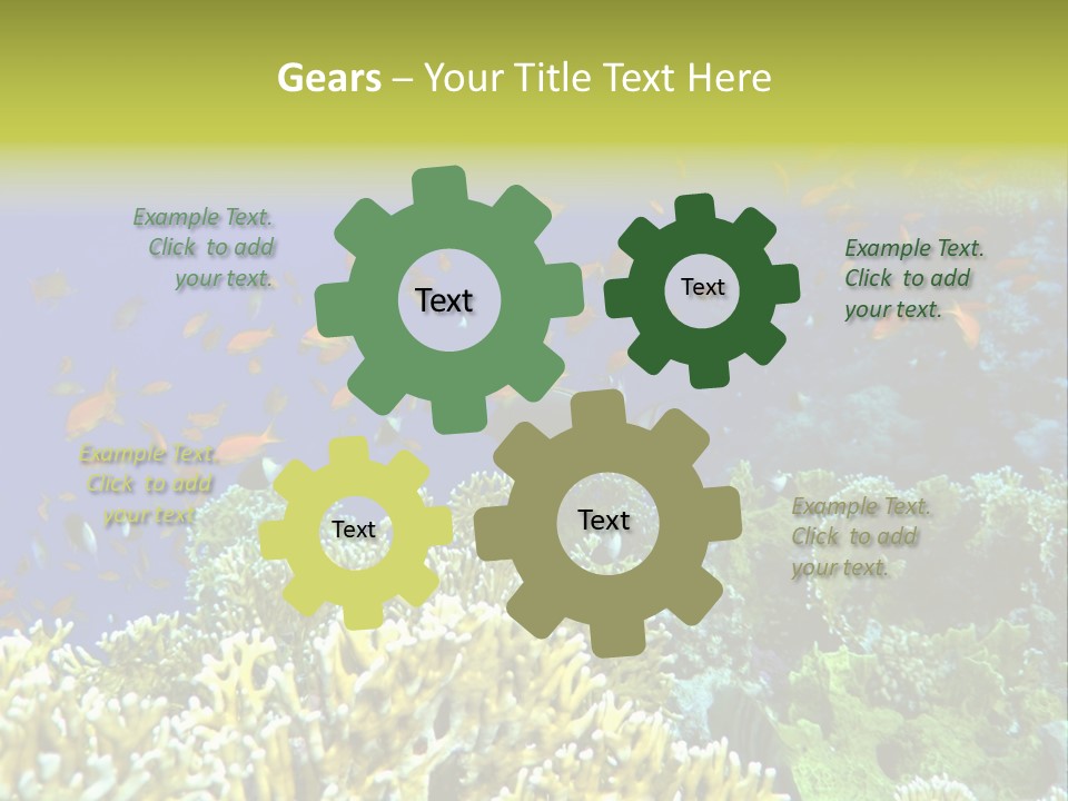 Underwater Landscape With Surgeon-Fish. Red Sea PowerPoint Template