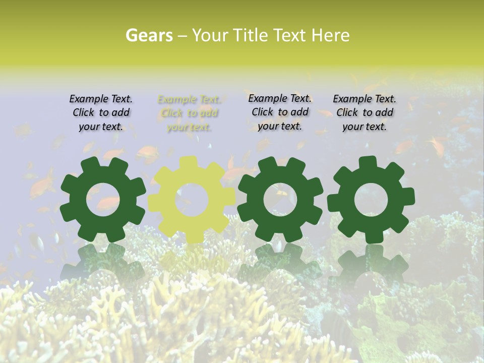 Underwater Landscape With Surgeon-Fish. Red Sea PowerPoint Template