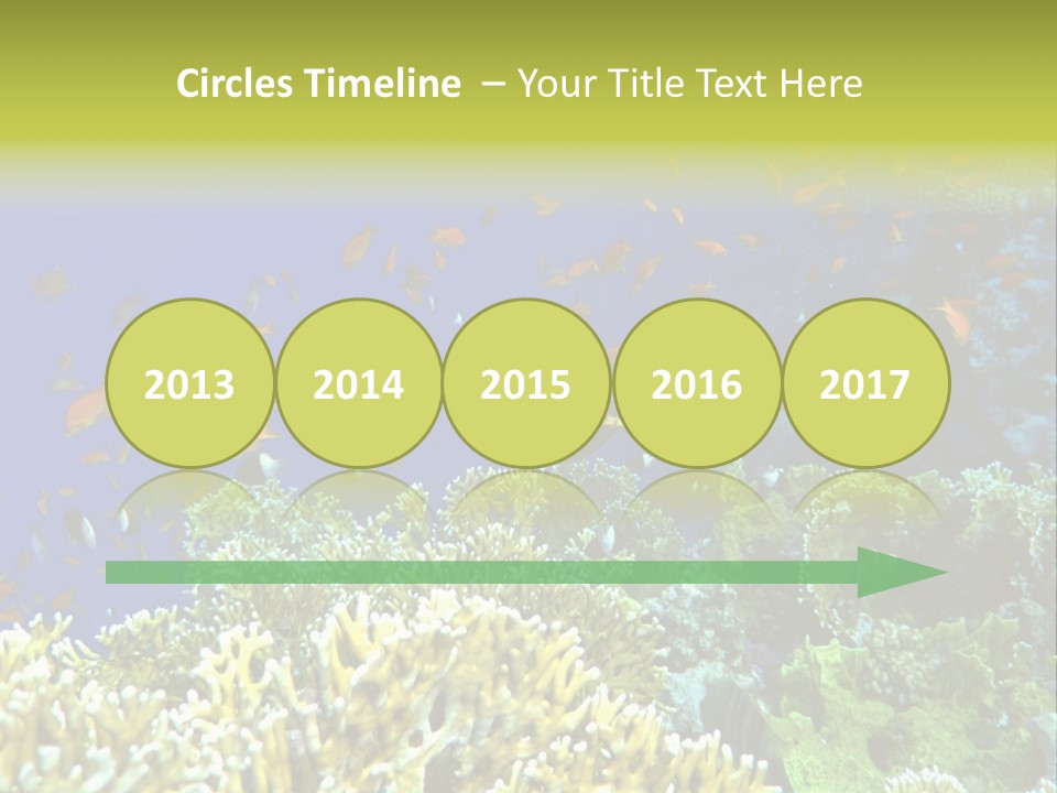 Underwater Landscape With Surgeon-Fish. Red Sea PowerPoint Template