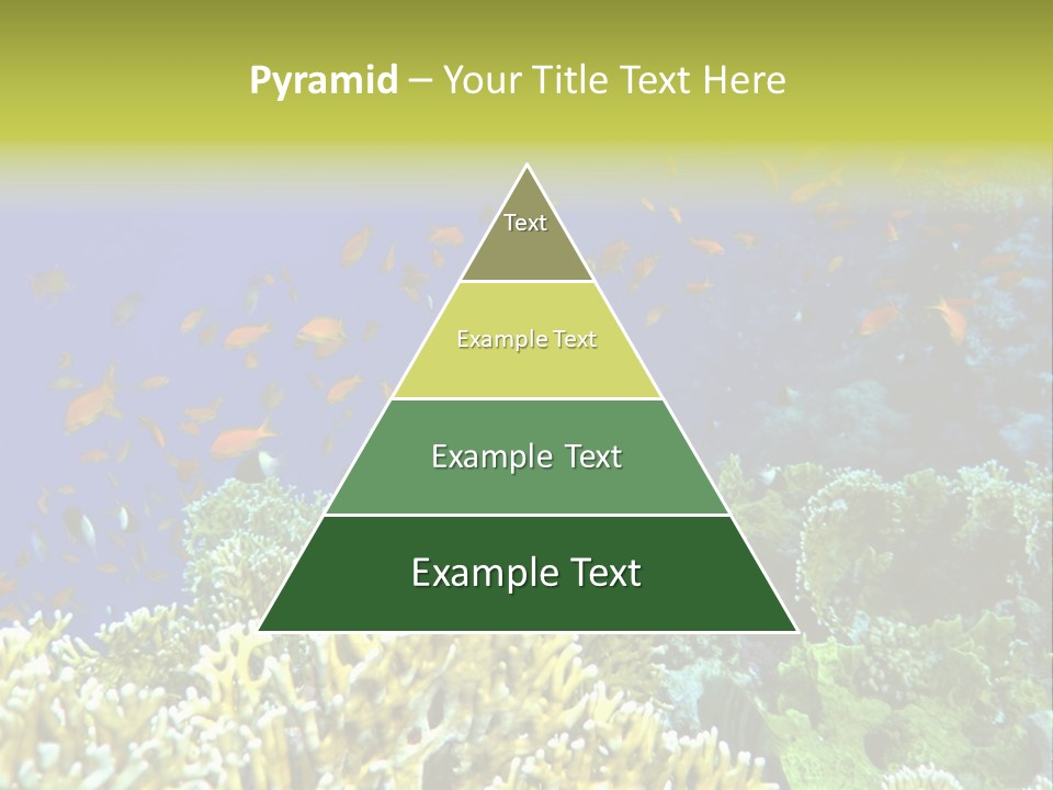 Underwater Landscape With Surgeon-Fish. Red Sea PowerPoint Template