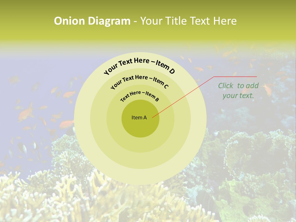 Underwater Landscape With Surgeon-Fish. Red Sea PowerPoint Template