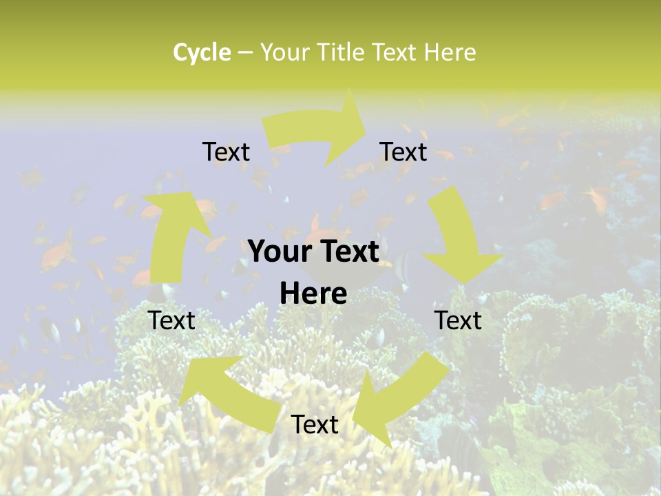 Underwater Landscape With Surgeon-Fish. Red Sea PowerPoint Template