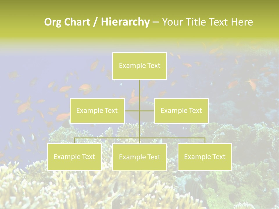 Underwater Landscape With Surgeon-Fish. Red Sea PowerPoint Template