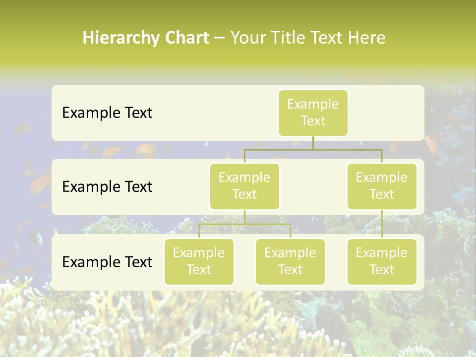 Underwater Landscape With Surgeon-Fish. Red Sea PowerPoint Template