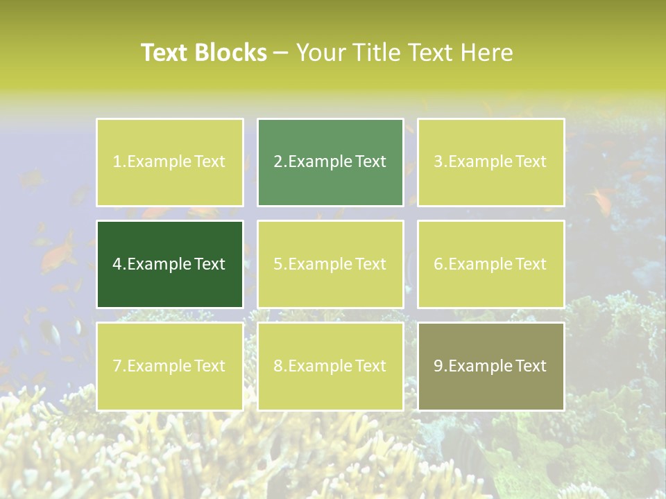 Underwater Landscape With Surgeon-Fish. Red Sea PowerPoint Template