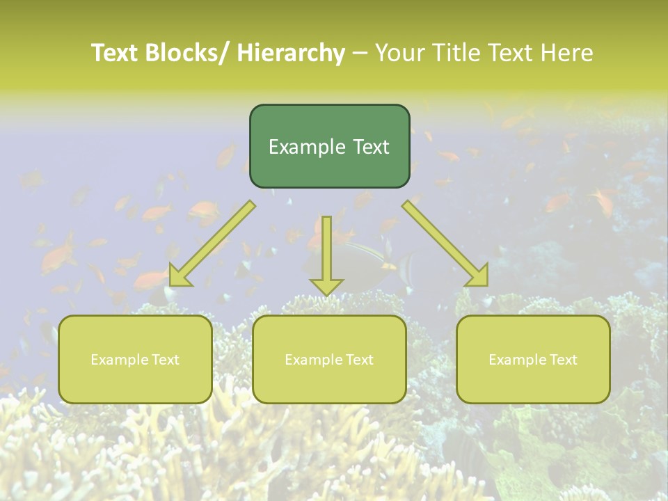 Underwater Landscape With Surgeon-Fish. Red Sea PowerPoint Template