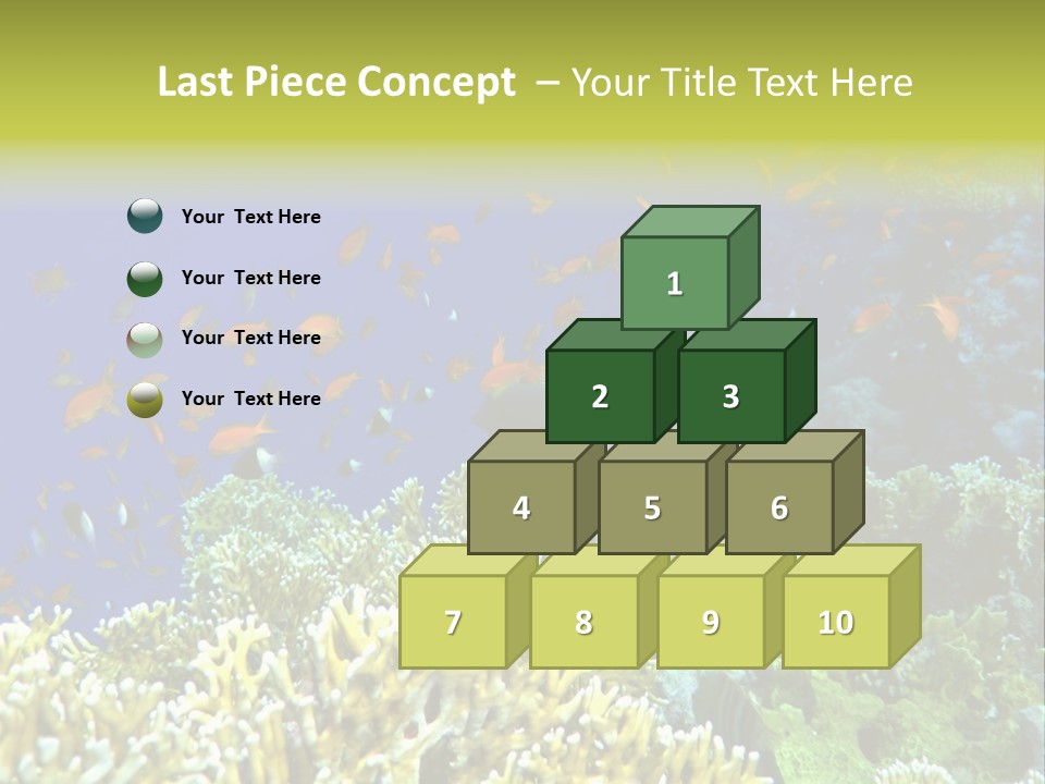 Underwater Landscape With Surgeon-Fish. Red Sea PowerPoint Template