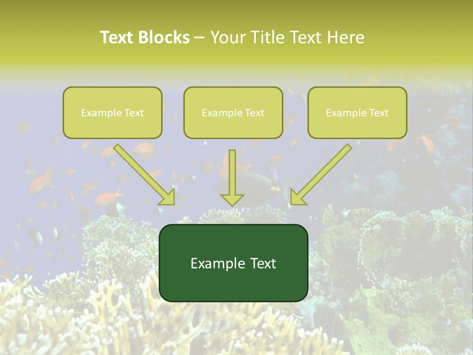 Underwater Landscape With Surgeon-Fish. Red Sea PowerPoint Template