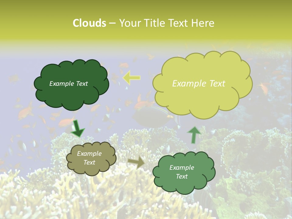 Underwater Landscape With Surgeon-Fish. Red Sea PowerPoint Template