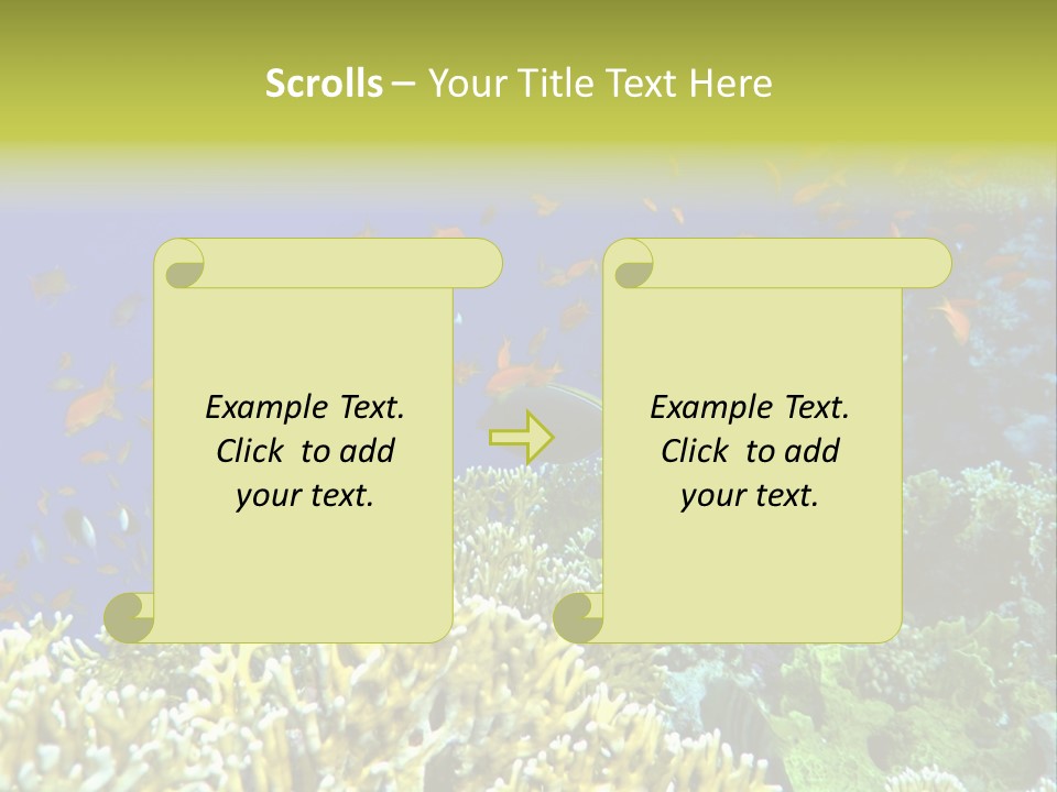 Underwater Landscape With Surgeon-Fish. Red Sea PowerPoint Template