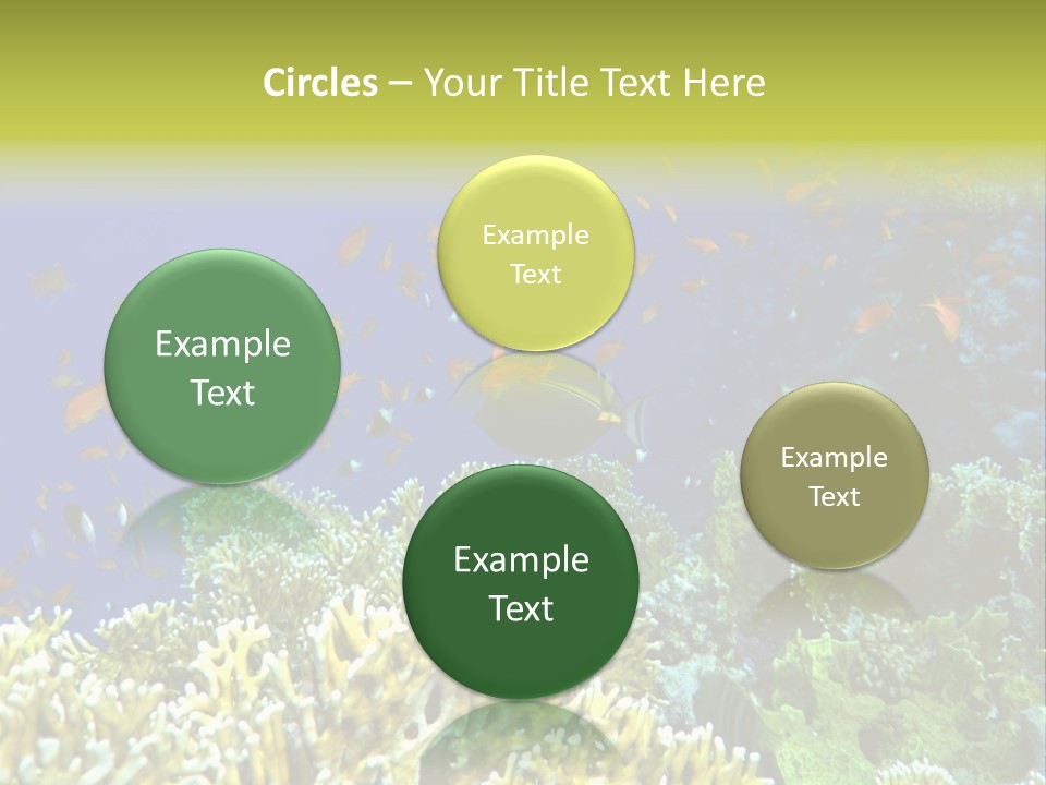 Underwater Landscape With Surgeon-Fish. Red Sea PowerPoint Template