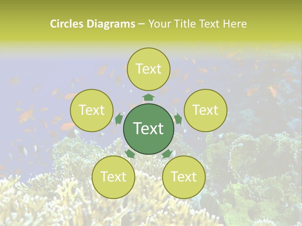 Underwater Landscape With Surgeon-Fish. Red Sea PowerPoint Template