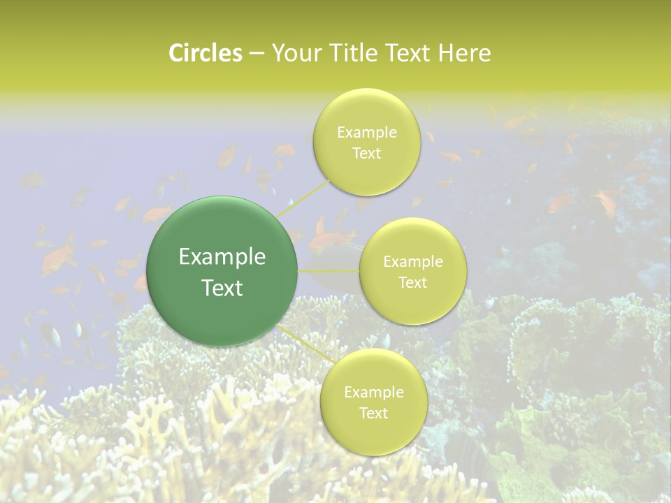 Underwater Landscape With Surgeon-Fish. Red Sea PowerPoint Template