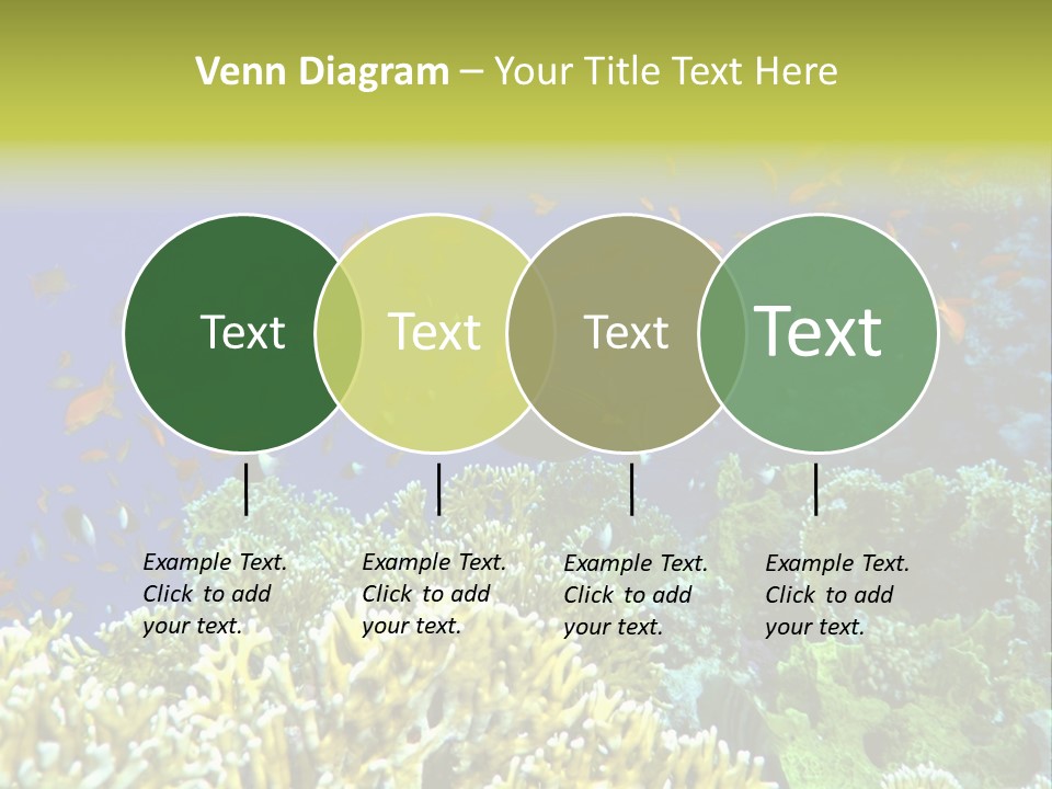 Underwater Landscape With Surgeon-Fish. Red Sea PowerPoint Template