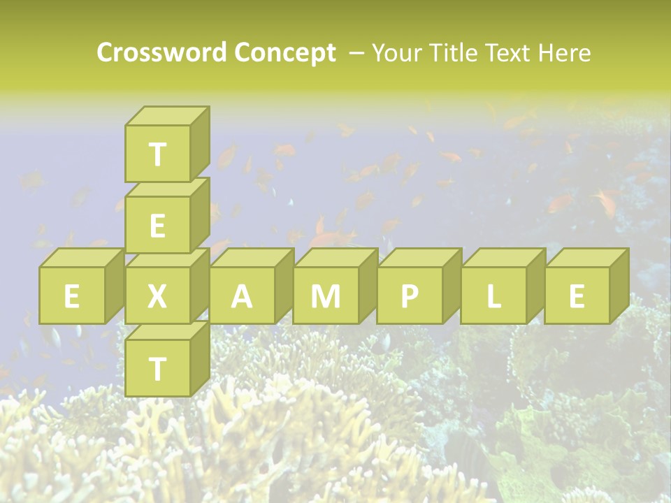 Underwater Landscape With Surgeon-Fish. Red Sea PowerPoint Template