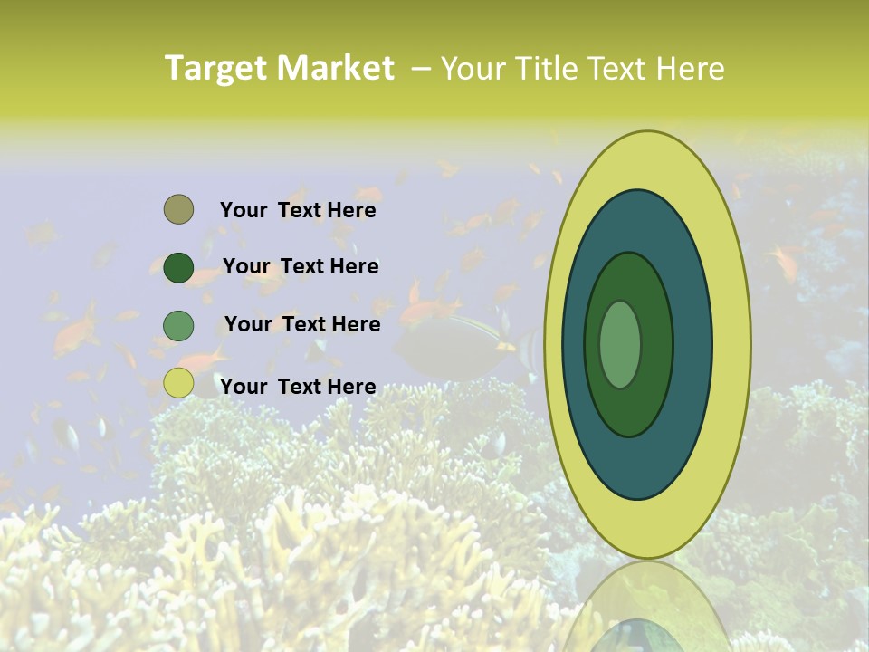 Underwater Landscape With Surgeon-Fish. Red Sea PowerPoint Template