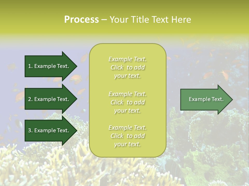 Underwater Landscape With Surgeon-Fish. Red Sea PowerPoint Template