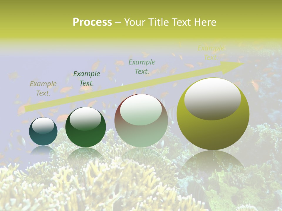 Underwater Landscape With Surgeon-Fish. Red Sea PowerPoint Template