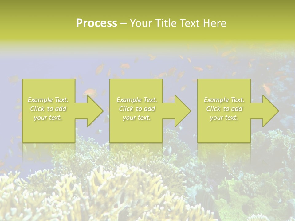 Underwater Landscape With Surgeon-Fish. Red Sea PowerPoint Template