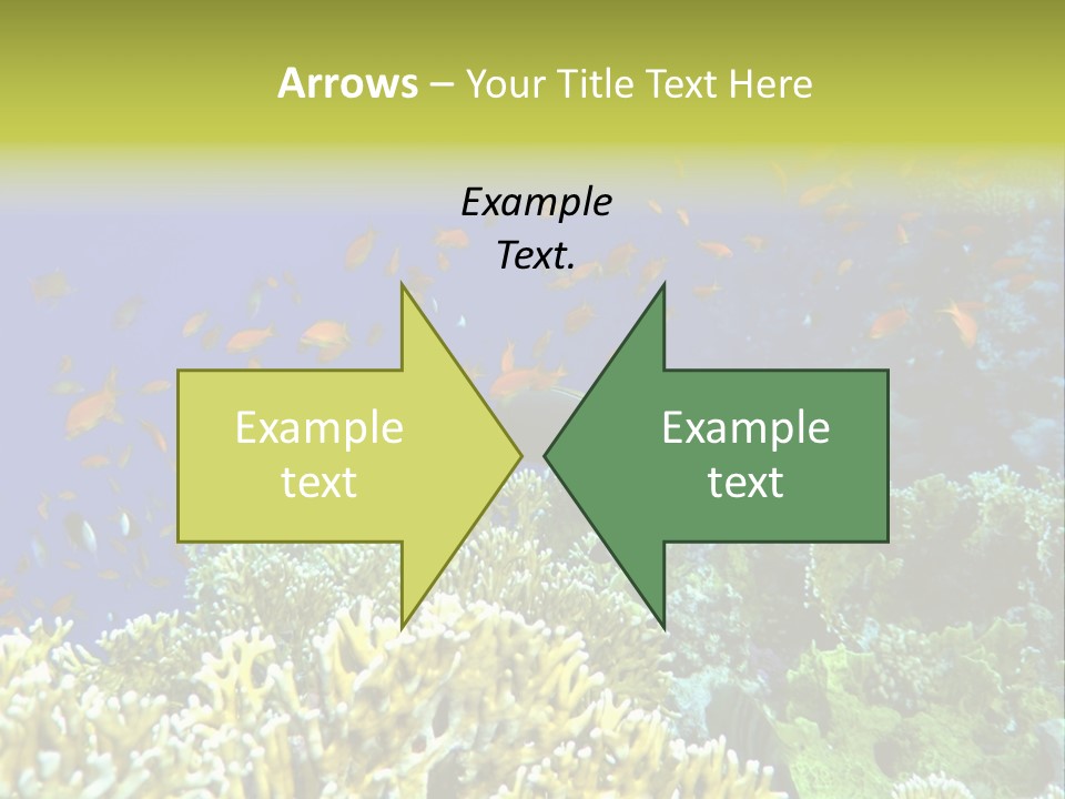 Underwater Landscape With Surgeon-Fish. Red Sea PowerPoint Template