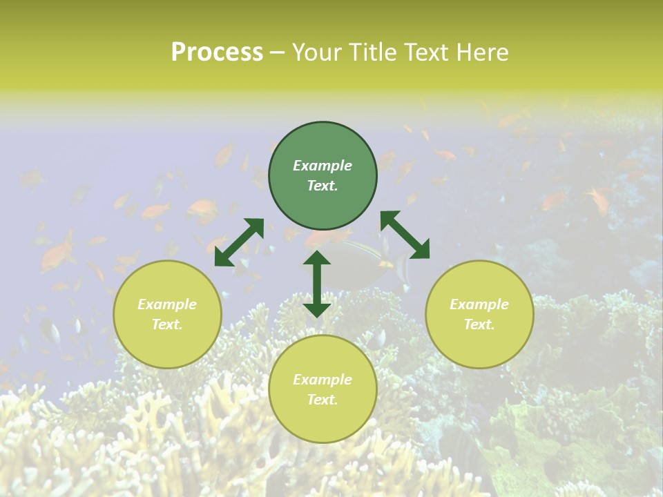 Underwater Landscape With Surgeon-Fish. Red Sea PowerPoint Template