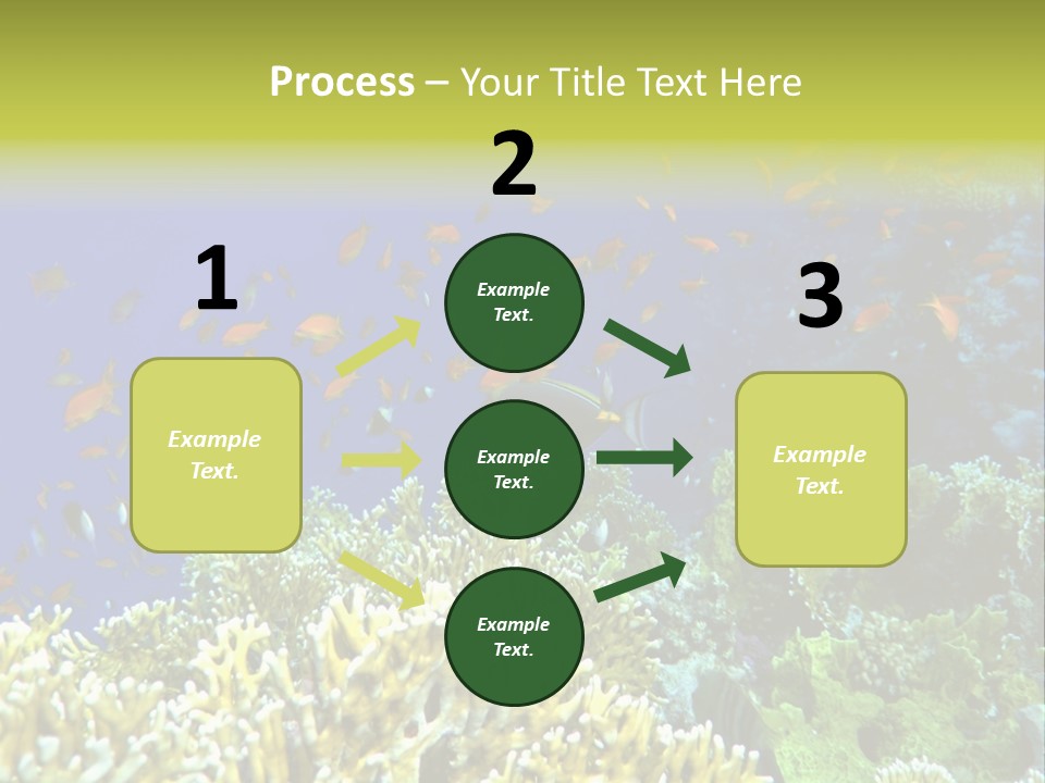 Underwater Landscape With Surgeon-Fish. Red Sea PowerPoint Template