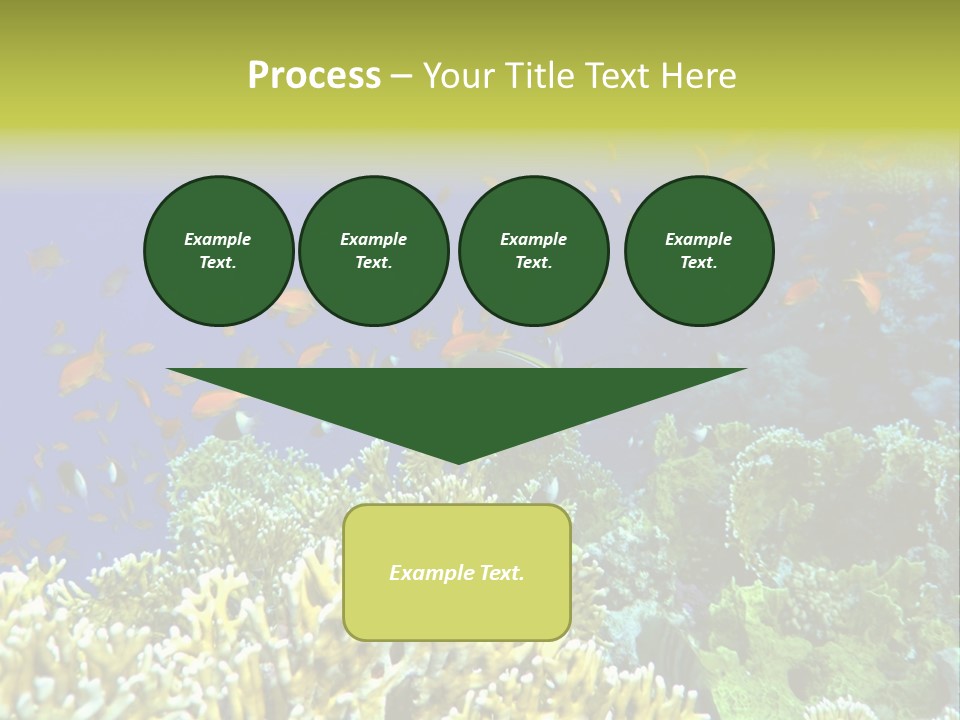 Underwater Landscape With Surgeon-Fish. Red Sea PowerPoint Template