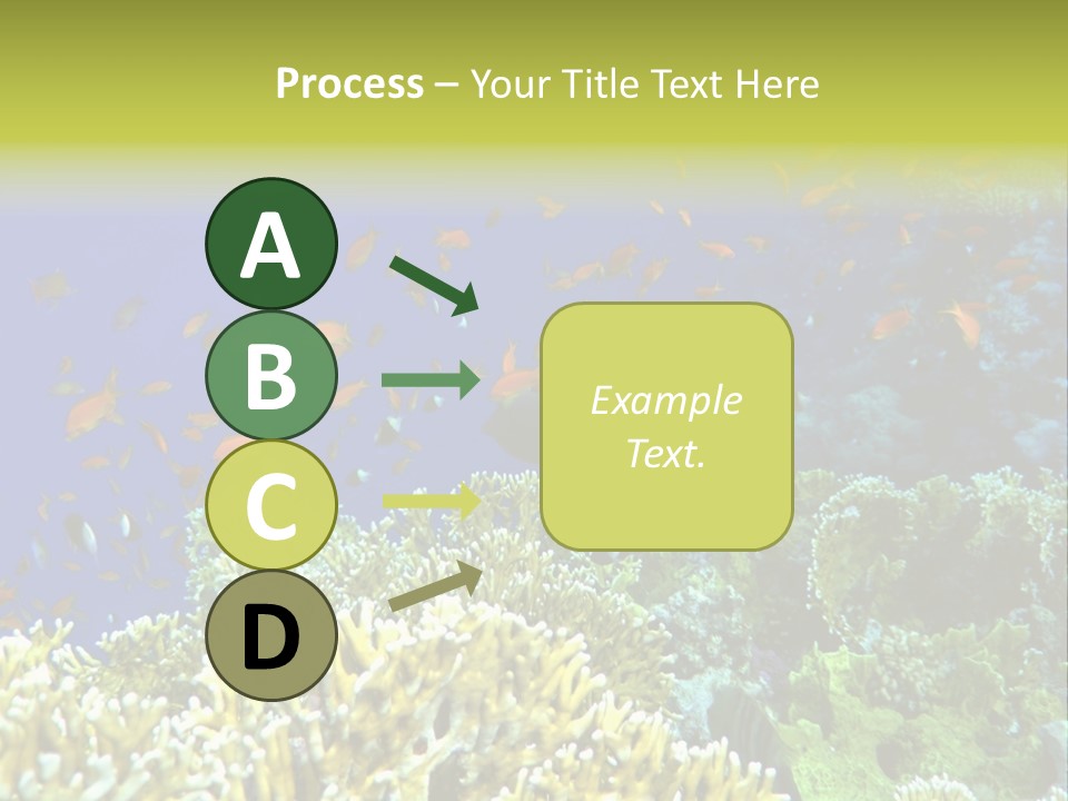 Underwater Landscape With Surgeon-Fish. Red Sea PowerPoint Template