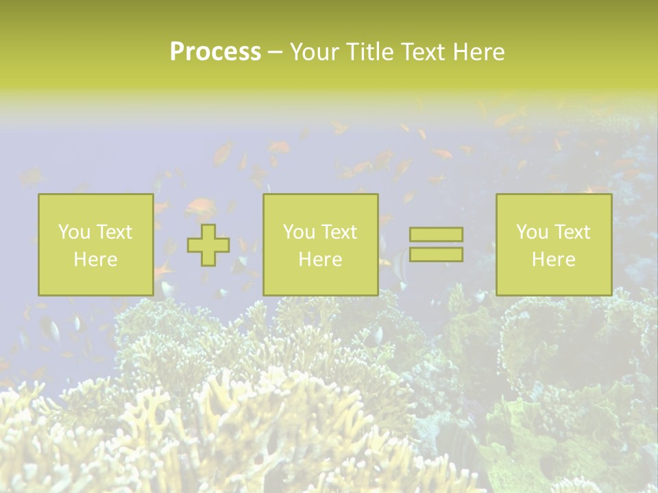 Underwater Landscape With Surgeon-Fish. Red Sea PowerPoint Template