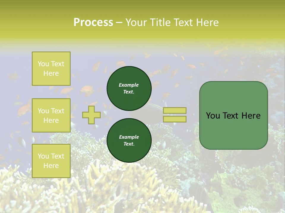 Underwater Landscape With Surgeon-Fish. Red Sea PowerPoint Template