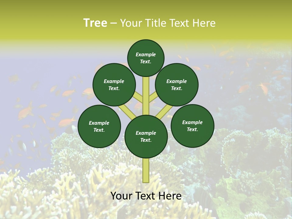 Underwater Landscape With Surgeon-Fish. Red Sea PowerPoint Template