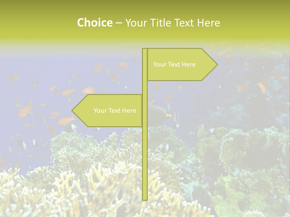 Underwater Landscape With Surgeon-Fish. Red Sea PowerPoint Template